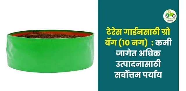 कमी जागेत जास्त उत्पादन देणारा स्मार्ट पर्याय