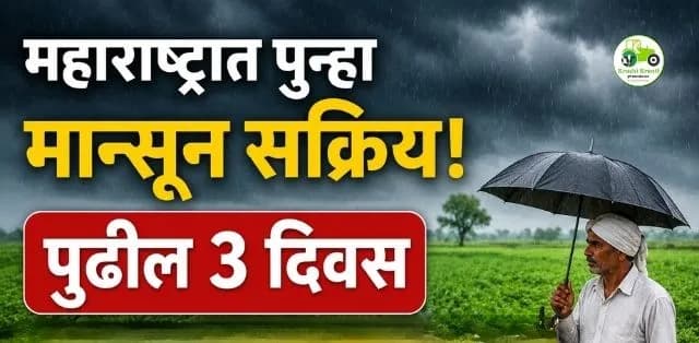 महाराष्ट्रात पुन्हा मान्सून सक्रिय! पुढील तीन दिवस मुसळधार पावसाचा इशारा; शेतकऱ्यांनी घ्यावी ही काळजी