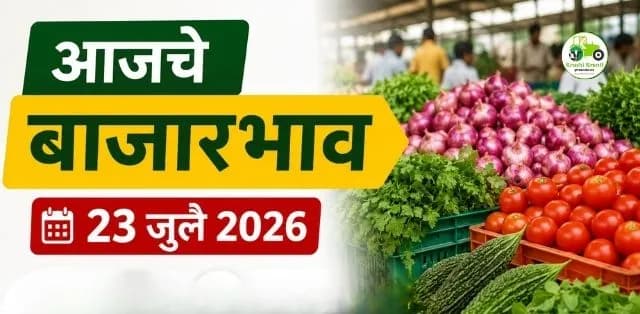 कांदा, कोथिंबीर, कारली, टोमॅटो आणि मेथीच्या दरात चढ-उतार; जाणून घ्या आजचे ताजे बाजारभाव