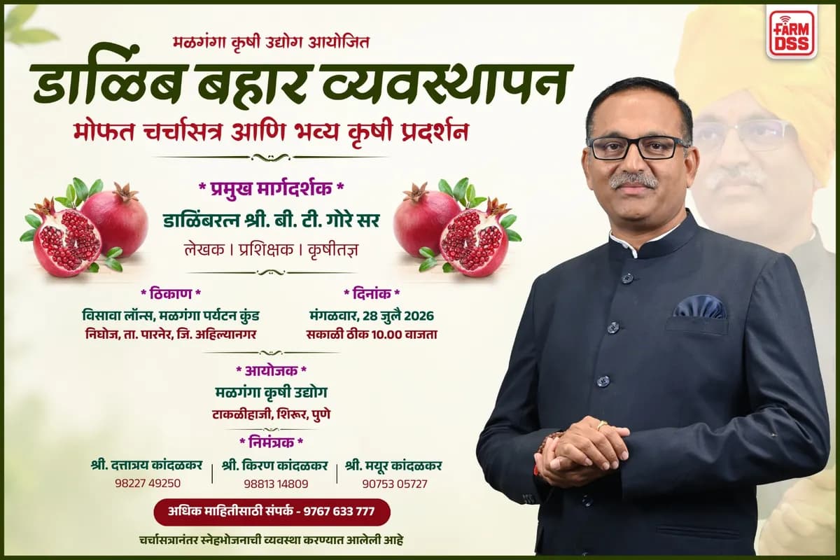 डाळिंब उत्पादक शेतकरी बांधवांसाठी सुवर्णसंधी - मोफत चर्चासत्र आणि भव्य कृषी प्रदर्शन