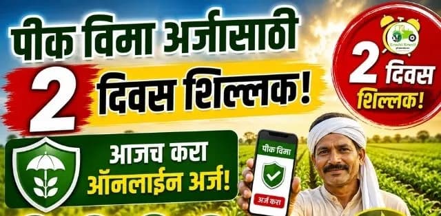 पीक विमा अर्जासाठी फक्त दोन दिवस शिल्लक! शेतकऱ्यांनी तातडीने करा अर्ज, अन्यथा मिळणार नाही संरक्षण