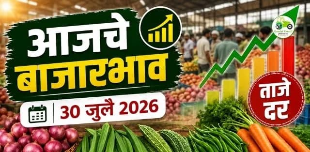 कांदा, भेंडी, कारली, हिरवी मिरची आणि गाजर दरात चढ-उतार; जाणून घ्या कोणत्या बाजारात मिळाला सर्वाधिक भाव