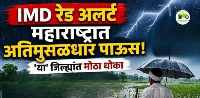 महाराष्ट्रात मुसळधार ते अतिमुसळधार पावसाचा इशारा! IMD कडून रेड अलर्ट, शेतकऱ्यांनी घ्यावी विशेष खबरदारी