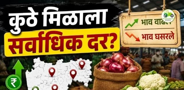 कुठे मिळाला सर्वाधिक भाव?