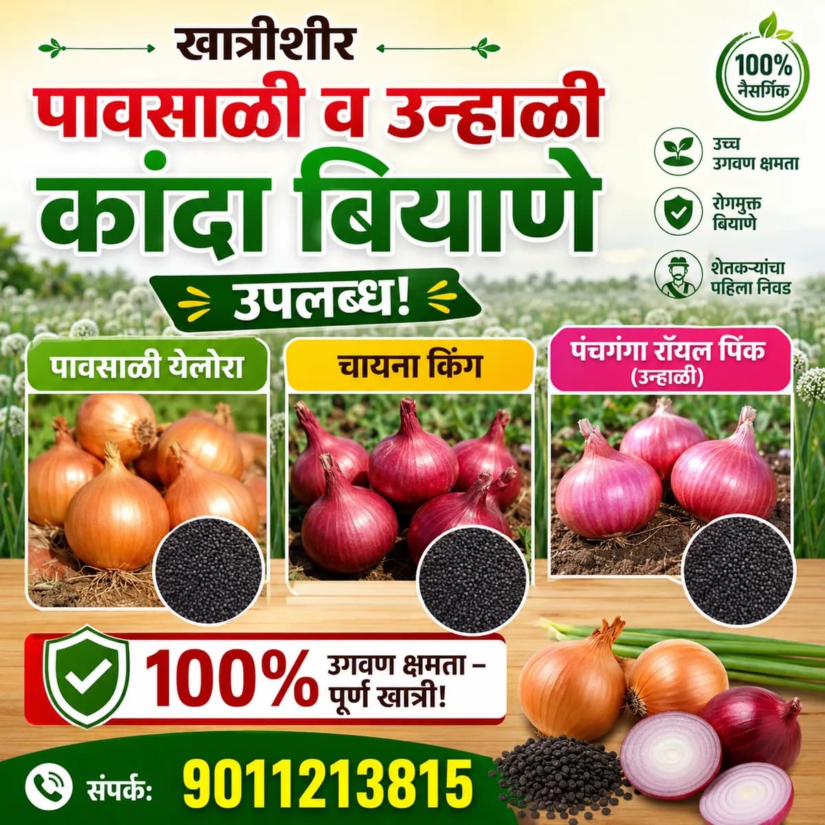पावसाळी व उन्हाळी कांदा बियाणे उपलब्ध!