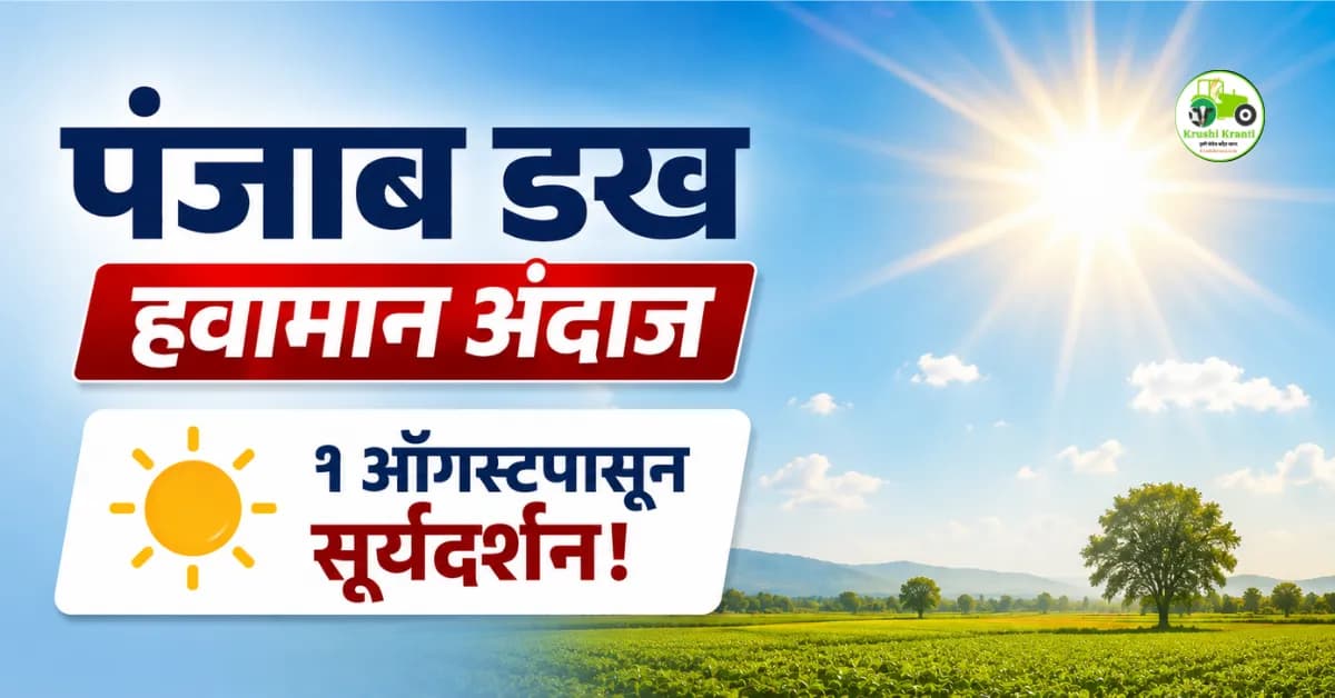 पंजाब डख हवामान अंदाज (१ ऑगस्ट): राज्यात सूर्यदर्शन! एल निनोची अफवा; सप्टेंबर-ऑक्टोबरमध्ये परतीचा पाऊस