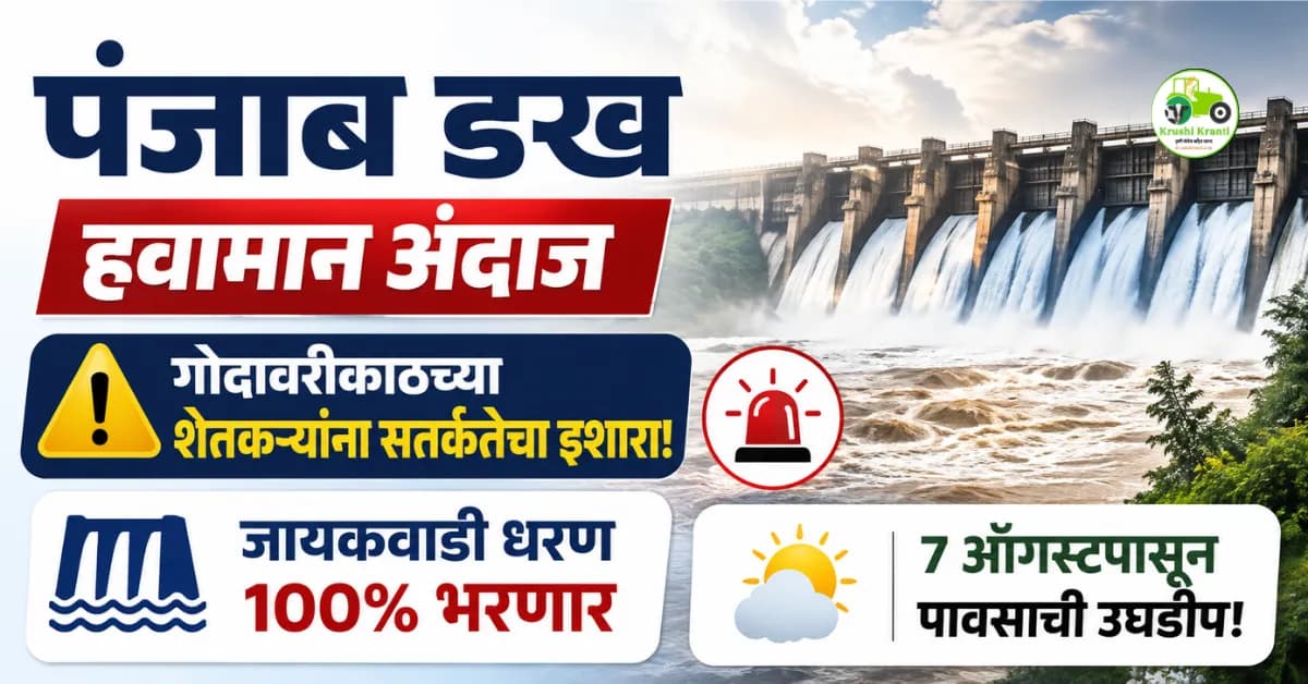 पंजाब डख हवामान अंदाज (३ ऑगस्ट): गोदावरीकाठच्या शेतकऱ्यांना सतर्कतेचा इशारा! जायकवाडी धरण १००% भरणार