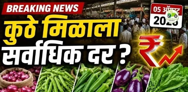 महाराष्ट्र बाजारभाव अपडेट (५ ऑगस्ट २०२६): कांदा, गवार, भेंडी, वांगी आणि पालकला कुठे मिळाला सर्वाधिक दर?
