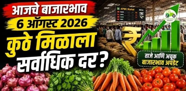 कांद्यात स्थिरता, टोमॅटोमध्ये चढ-उतार, कोथिंबीर आणि गाजराच्या दरात बदल