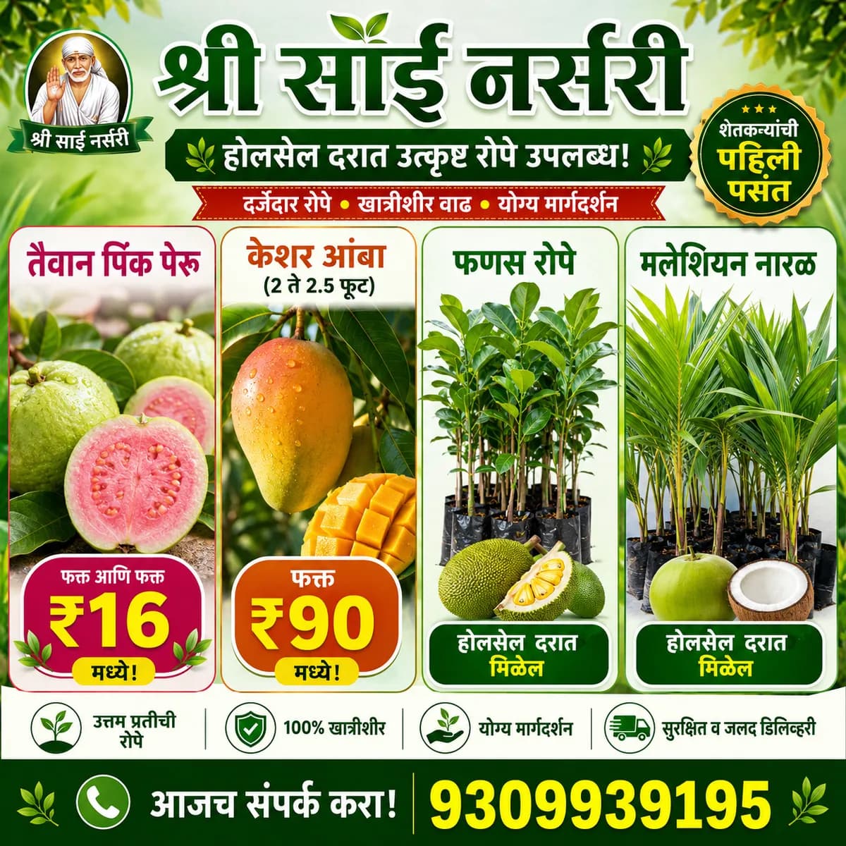 तैवान पिंक पेरू ₹16 | केशर आंबा ₹90 | श्री साई नर्सरी होलसेल रोपे