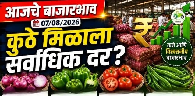कांदा, हिरवी मिरची आणि ढोबळी मिरचीला चांगला भाव; टोमॅटोचे दर स्थिर