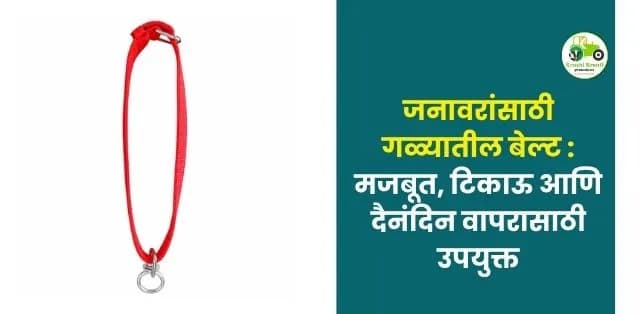 मजबूत, टिकाऊ आणि दैनंदिन वापरासाठी उपयुक्त