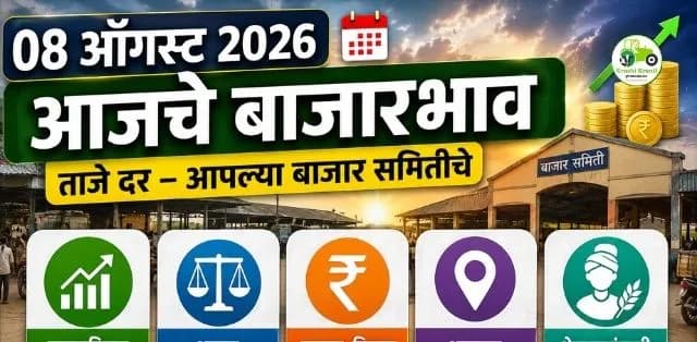 कांदा, कोथिंबीर, टोमॅटो, दुधी भोपळा आणि मेथीचे दर
