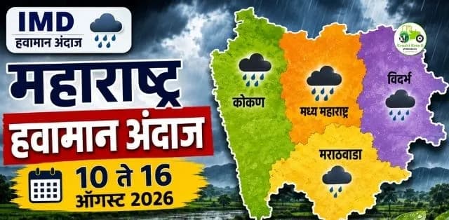 १० ते १६ ऑगस्टदरम्यान कुठे पडणार पाऊस? IMDचा विभागनिहाय अंदाज