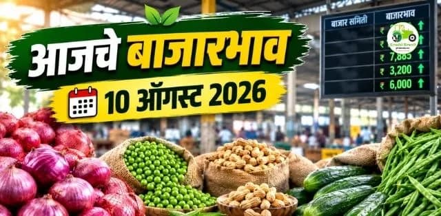 कांदा, वाटाणा, भुईमूग शेंग, काकडी आणि गवारचे दर