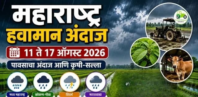 ११ ते १७ ऑगस्टदरम्यान पावसाचा जोर कुठे? शेतकऱ्यांसाठी IMDचा कृषी-सल्ला