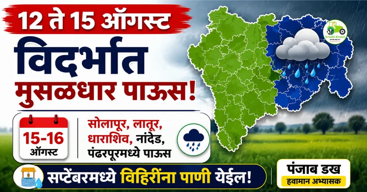 पंजाब डख हवामान अंदाज (१२ ऑगस्ट): विदर्भात मुसळधार पाऊस सुरूच राहणार; मराठवाडा आणि पश्चिम महाराष्ट्रात पाऊस कमी राहणार