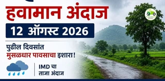 महाराष्ट्रात पुढील दिवसांत पावसाचा जोर कायम; शेतकऱ्यांनी निचऱ्यावर द्यावे विशेष लक्ष