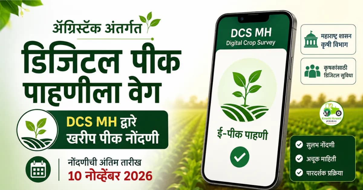 ॲग्रिस्टॅक अंतर्गत डिजिटल पीक पाहणीला वेग; DCS MH द्वारे खरीप पीक नोंदणी १० नोव्हेंबरपर्यंत पूर्ण करण्याचे निर्देश