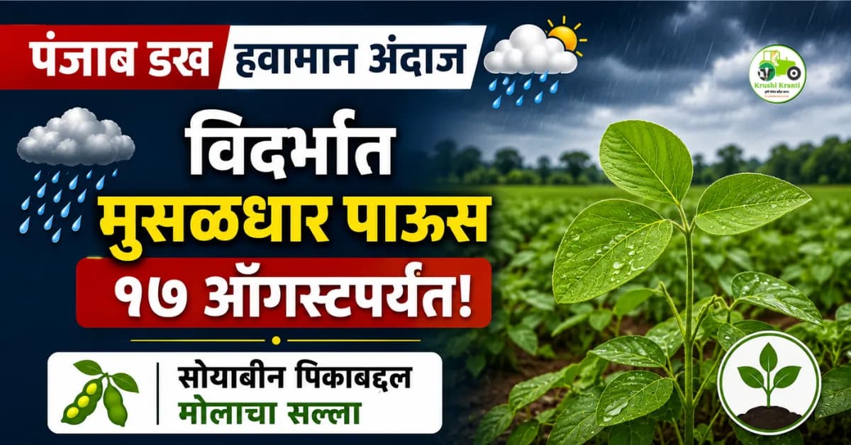पंजाब डख हवामान अंदाज (१३ ऑगस्ट): १७ ऑगस्टपर्यंत विदर्भात मुसळधार पाऊस; सोयाबीन पिकाबद्दल मोलाचा सल्ला