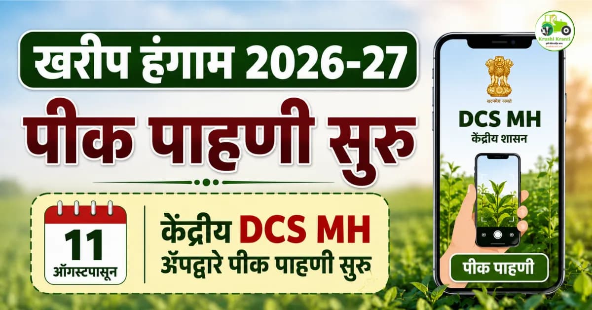 खरीप हंगाम 2026-27 : 11 ऑगस्टपासून केंद्रीय DCS MH ॲपद्वारे पीक पाहणी सुरू