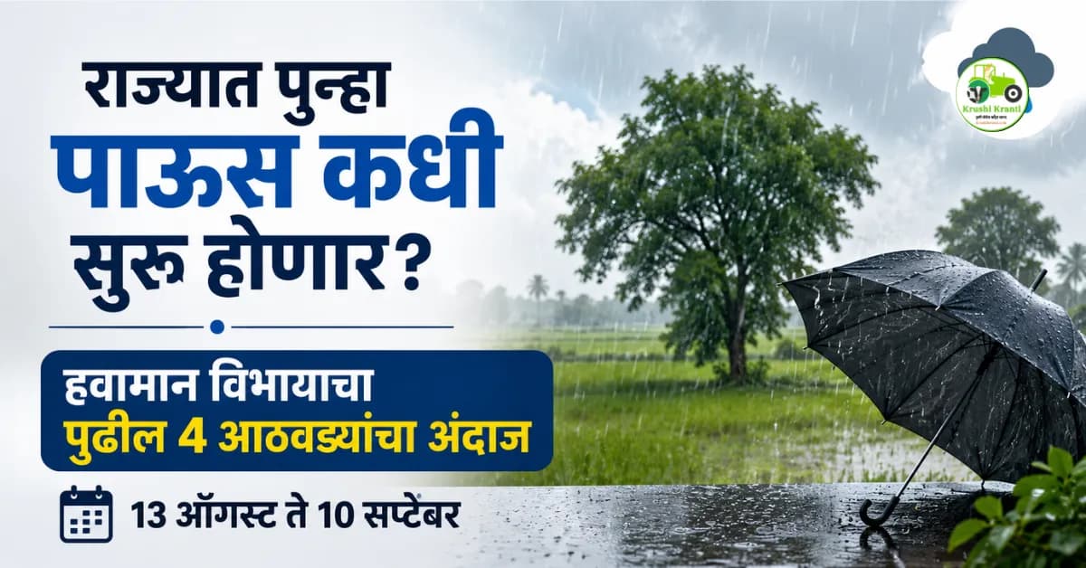 राज्यात पुन्हा पाऊस कधी सुरू होणार? हवामान विभागाचा पुढील ४ आठवड्यांचा अंदाज जाहीर