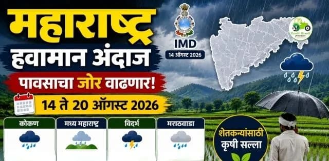 IMDचा १४ ऑगस्टचा हवामान अंदाज, शेतकऱ्यांसाठी महत्त्वाचा कृषी सल्ला