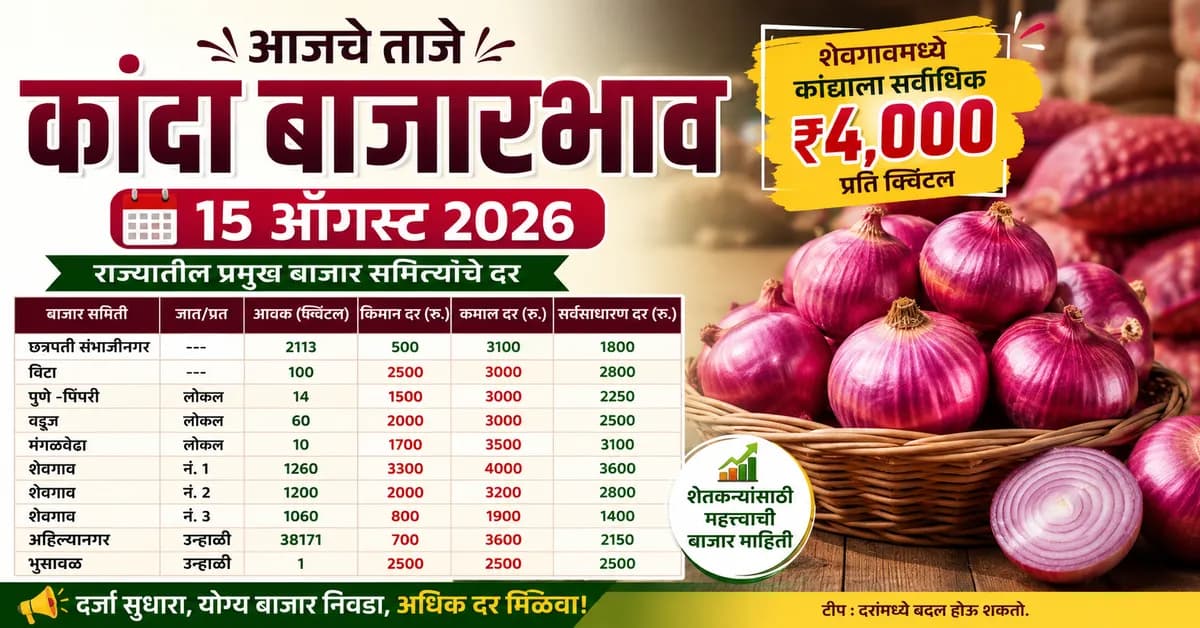कांद्याच्या बाजारभावात मोठी तेजी; शेवगावमध्ये सर्वाधिक ₹4,000, अहिल्यानगरमध्ये 38 हजार क्विंटलची आवक