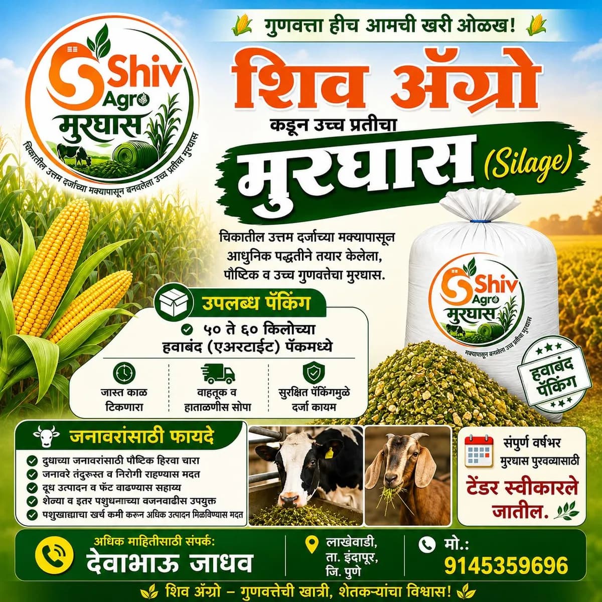 मुरघास विक्रीस उपलब्ध