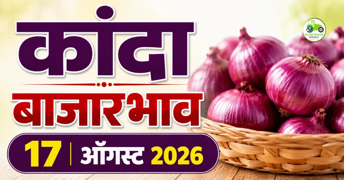 कांदा बाजारभाव 17 ऑगस्ट 2026