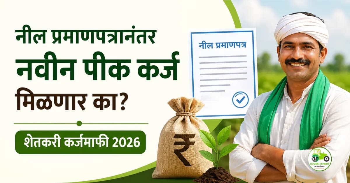 नील प्रमाणपत्रानंतर नवीन पीक कर्ज मिळणार का? शेतकरी कर्जमाफी 2026 अंतर्गत जाणून घ्या संपूर्ण माहिती