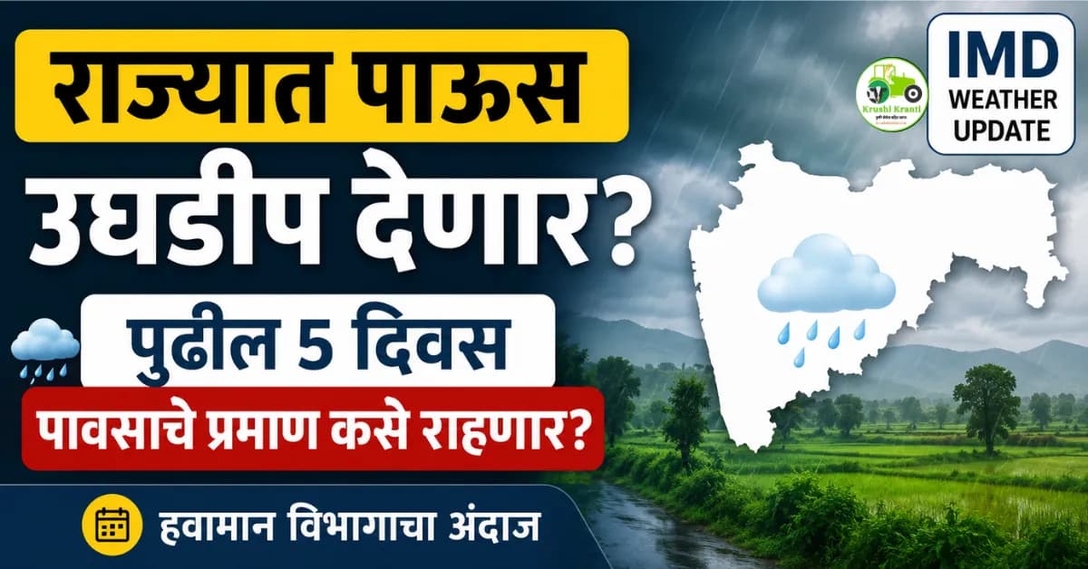 राज्यात पाऊस उघडीप देणार? पुढील ५ दिवस पावसाचे प्रमाण कसे राहणार? IMD Weather Update