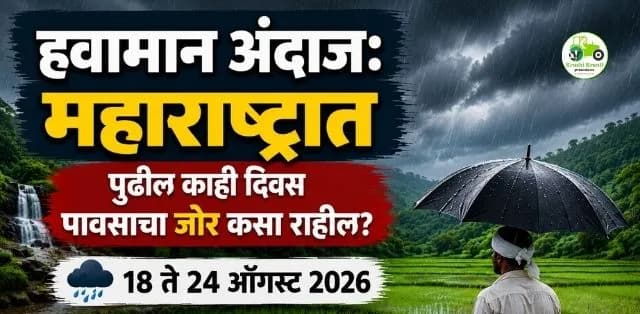 हवामान अंदाज: महाराष्ट्रात पुढील काही दिवस पावसाचा जोर कसा राहील?
