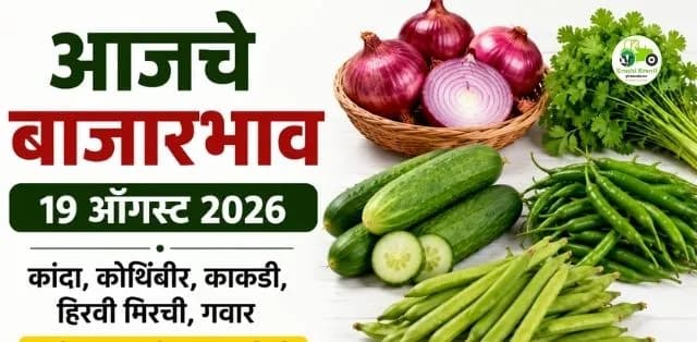 कांदा, कोथिंबीर, काकडी, हिरवी मिरची आणि गवारचे आजचे दर