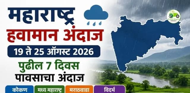 महाराष्ट्रात पुढील ७ दिवस पावसाचा अंदाज; कोकणात सर्वदूर पाऊस, विदर्भातही जोर वाढणार