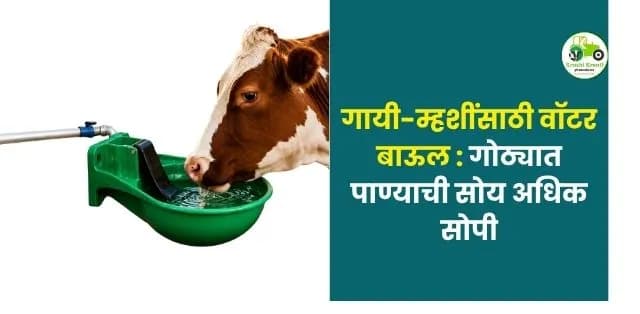 गायी-म्हशींसाठी वॉटर बाऊल – गोठ्यात पाण्याची सोय अधिक सोपी