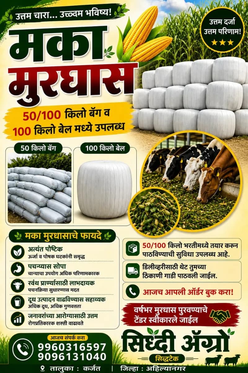 सिद्धी अग्रो मूरघास प्रकल्प