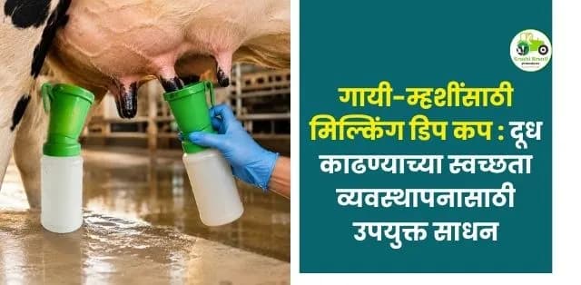 दूध काढण्याच्या स्वच्छता व्यवस्थापनासाठी उपयुक्त साधन