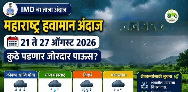 महाराष्ट्रात २१ ते २७ ऑगस्टदरम्यान पावसाची स्थिती कशी राहणार? IMD चा विभागनिहाय अंदाज