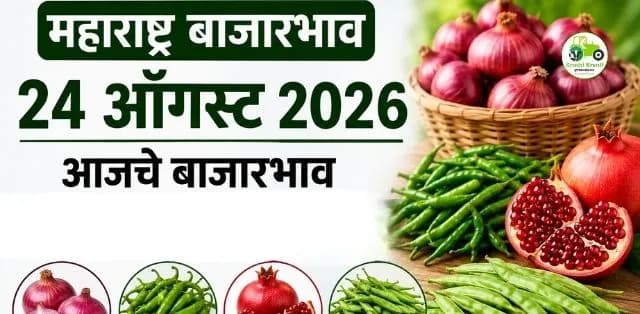 कांदा, मिरची, डाळिंब आणि गवारीचे आजचे दर