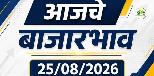 कांदा, डाळिंब, कोथिंबीर, पालक आणि शेपूचे आजचे दर