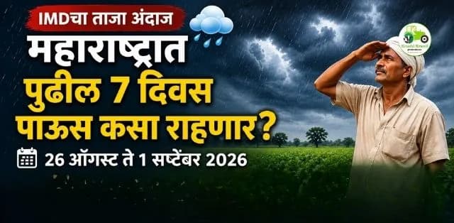 महाराष्ट्रात पुढील ७ दिवस पावसाची स्थिती कशी राहणार? IMDचा ताजा अंदाज