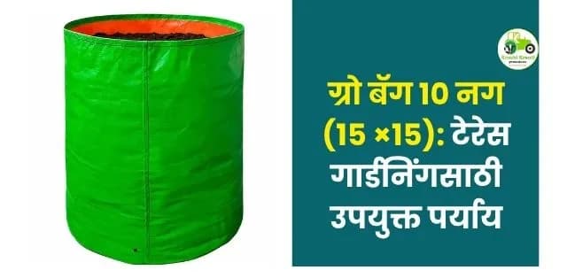 टेरेस गार्डनिंगसाठी उपयुक्त पर्याय