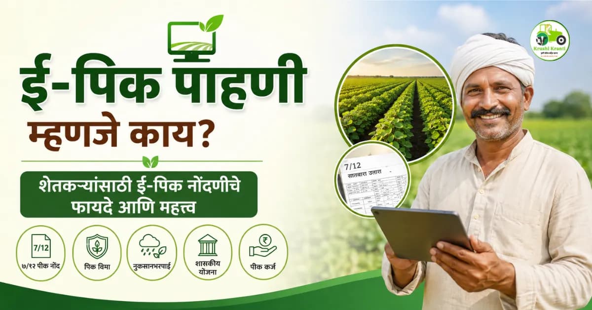 ई-पिक पाहणी म्हणजे काय? शेतकऱ्यांसाठी ई-पिक नोंदणीचे फायदे आणि महत्त्व