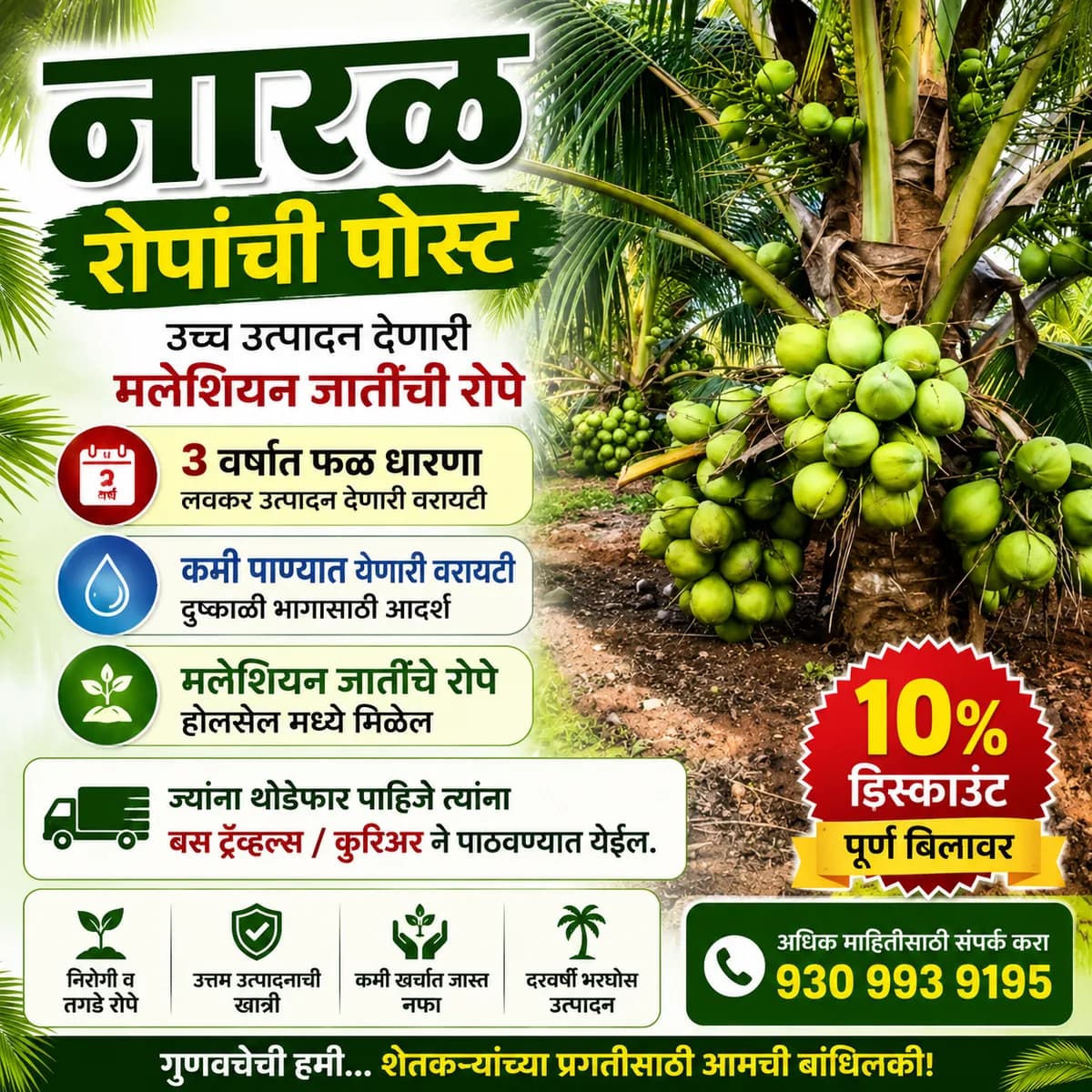 नारळ रोपे विक्रीसाठी उपलब्ध