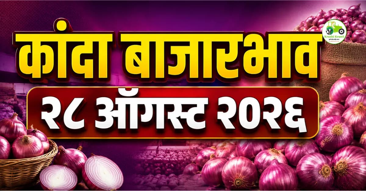 कांदा बाजारभाव २८ ऑगस्ट २०२६ | आजचा कांदा दर महाराष्ट्र