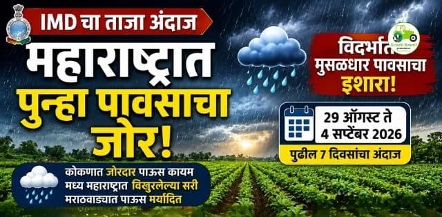 महाराष्ट्रात पुन्हा पावसाचा जोर वाढणार; विदर्भात मुसळधार पावसाचा इशारा, शेतकऱ्यांनी घ्या काळजी