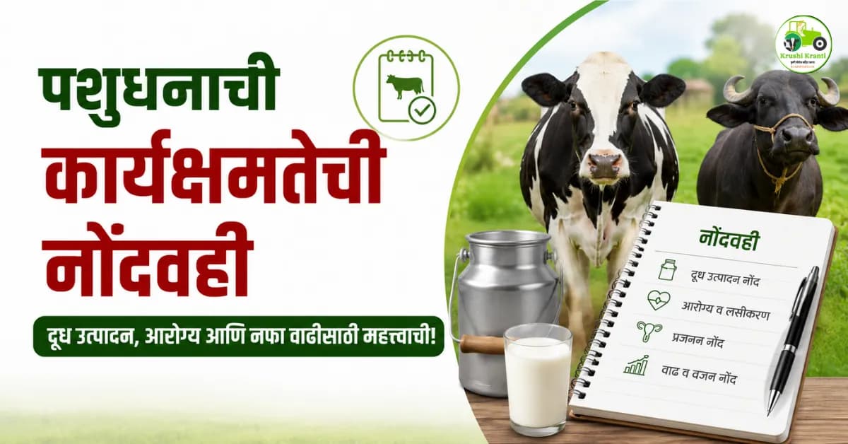 जनावरांची नोंदवही का ठेवावी? दूध उत्पादन, आरोग्य आणि नफा वाढवण्यासाठी महत्त्वाची माहिती