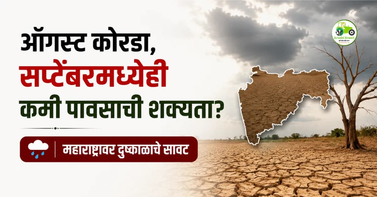 ऑगस्ट कोरडा, सप्टेंबरमध्येही कमी पावसाची शक्यता? महाराष्ट्रावर दुष्काळाचे सावट