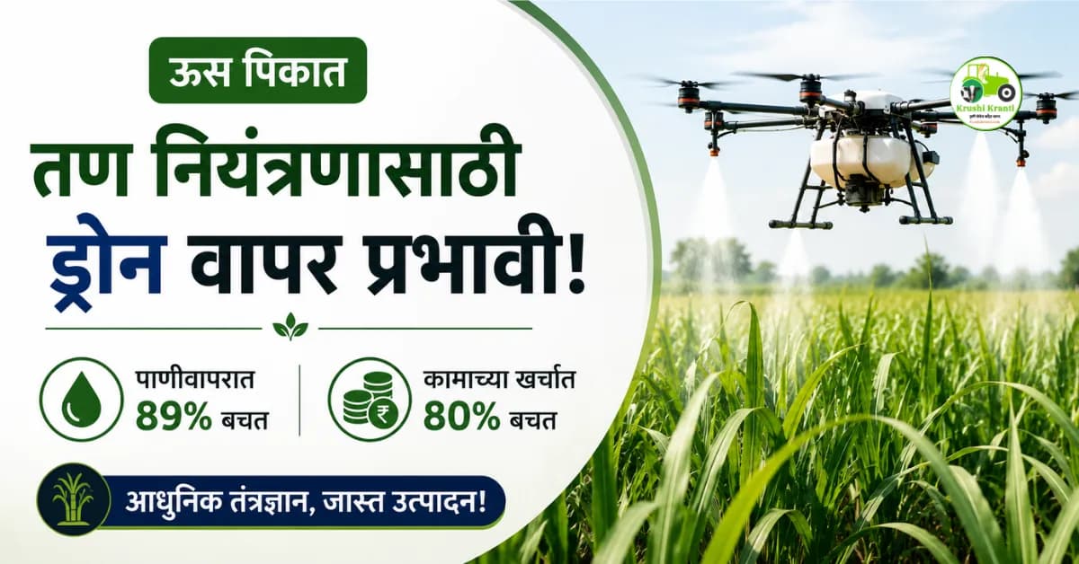 ऊस पिकातील तण नियंत्रणासाठी ड्रोन ठरतेय प्रभावी; पाणीवापरात ८९%, खर्चात ८०% बचतीचा दावा